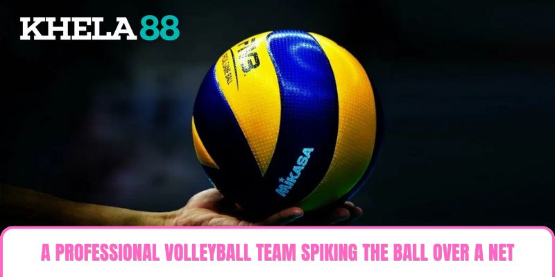 A professional volleyball team spiking the ball over a net representing Volleyball Betting